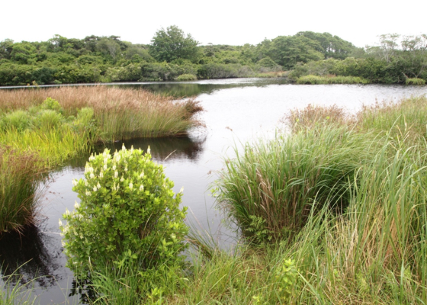 Stump Pond